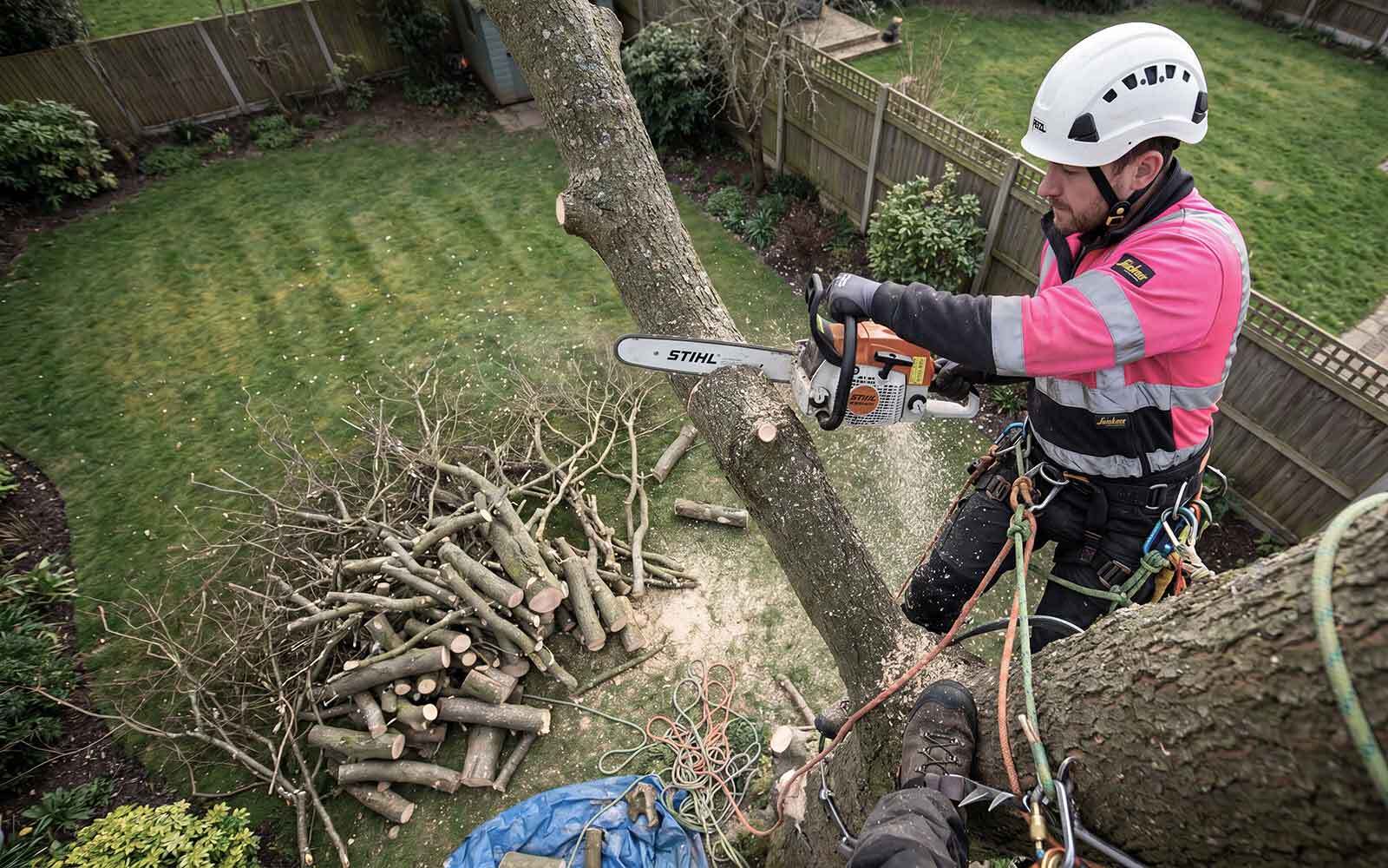 Ace Tree Surgery Work