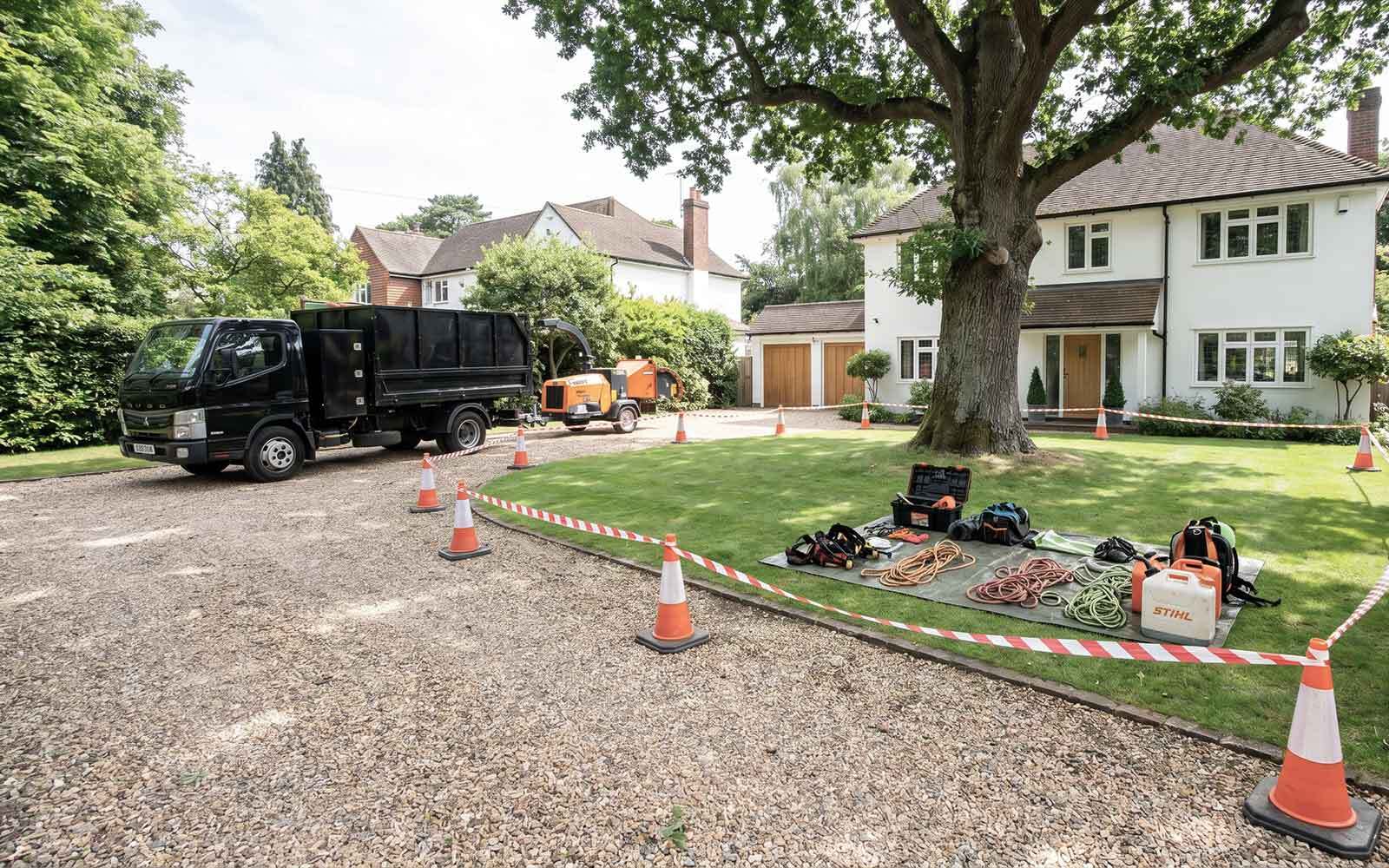Ace Tree Surgery Work
