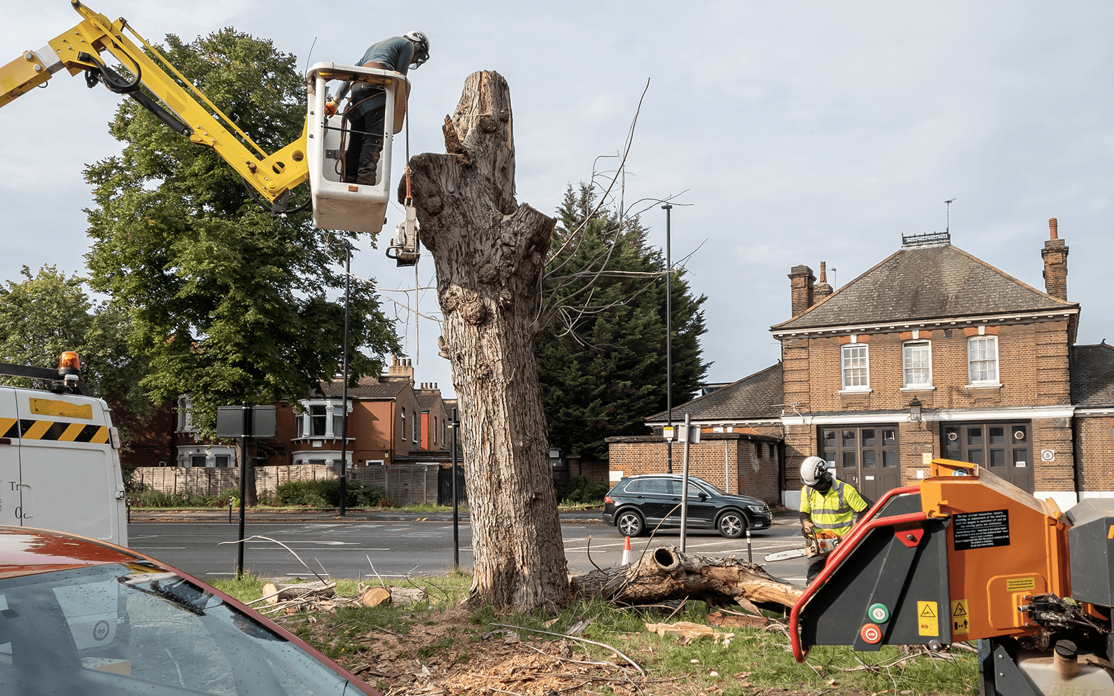 Ace Tree Surgery Work
